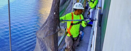 pendry residences tampa painting project rpgfl